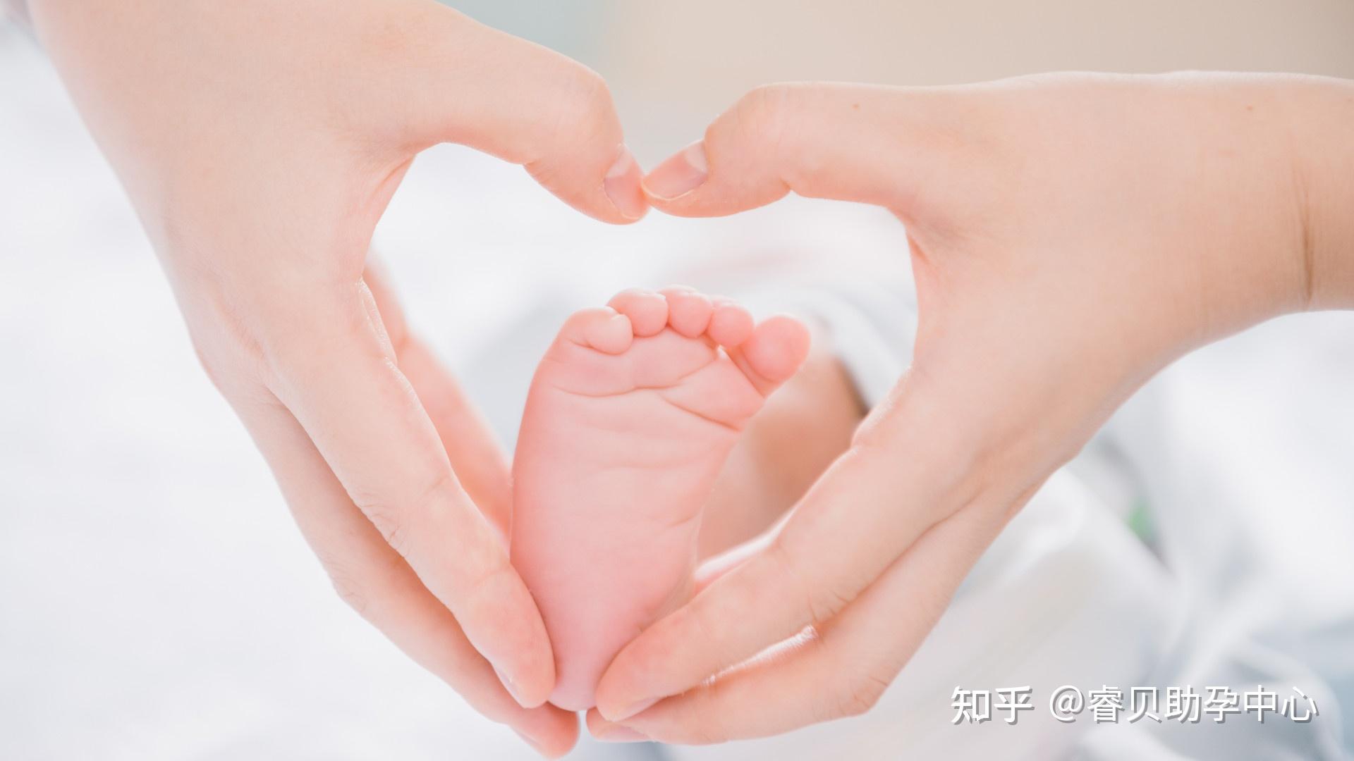 保定试管婴儿包干价